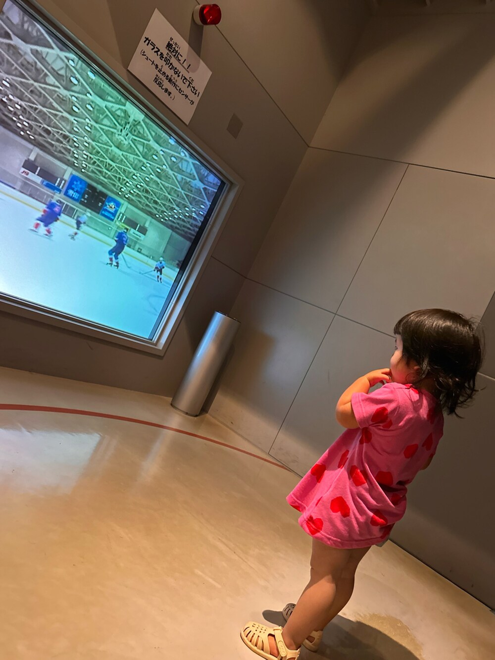 グレー系のTシャツ/カットソー、レッド系のセットアップ、ピンク系のワンピースを着用したキッズの秋コーディネートの4枚目の写真