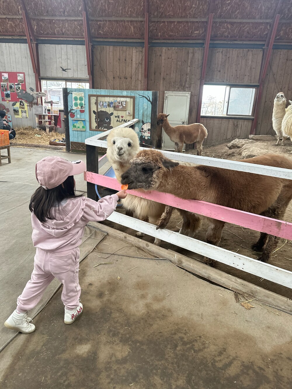 ピンク系のパーカー、ピンク系のその他パンツ、レッド系のスニーカーを着用したキッズの春コーディネートの2枚目の写真