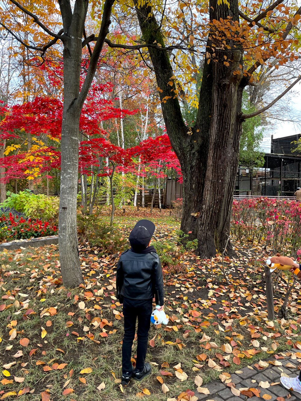 ブラック系のライダースジャケット、ブラック系のスウェット、ブラック系のその他パンツを着用したキッズの冬コーディネートの2枚目の写真