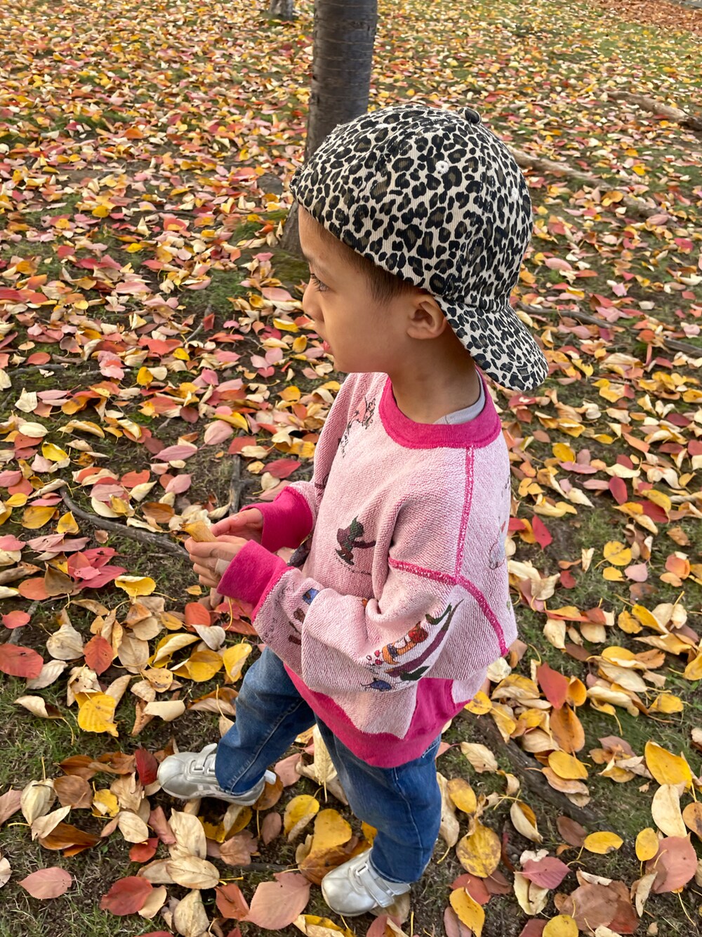 ピンク系のスウェット、ブルー系のデニムパンツ、シルバー系のスニーカーを着用したキッズの秋コーディネートの3枚目の写真