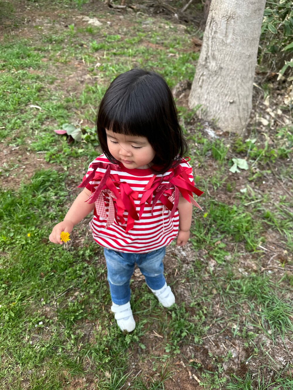 レッド系のTシャツ/カットソー、ブルー系のデニムパンツ、ホワイト系のスニーカーを着用したキッズの春コーディネートの3枚目の写真
