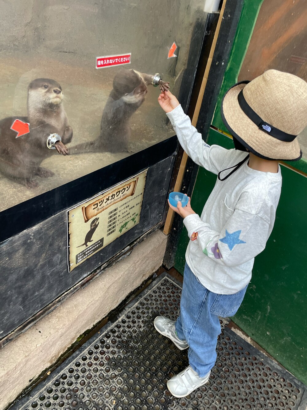 ホワイト系のTシャツ/カットソー、ブルー系のデニムパンツ、シルバー系のスニーカーを着用したキッズの夏コーディネートの2枚目の写真