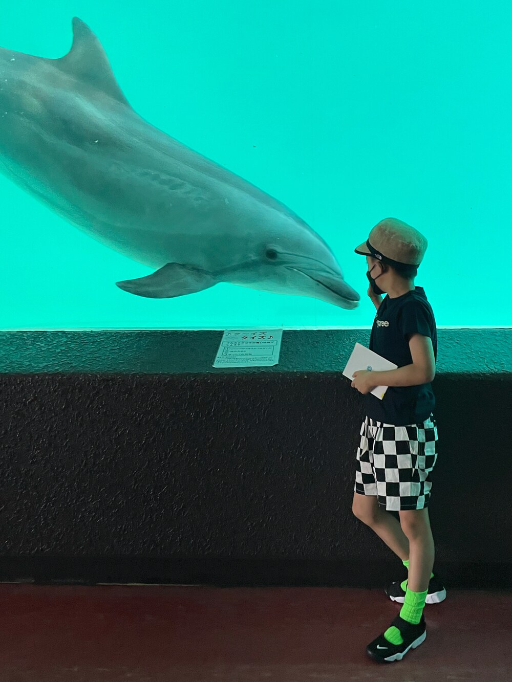 ブラック系のTシャツ/カットソー、その他のその他パンツ、ブラック系のスニーカーを着用したキッズの夏コーディネートの2枚目の写真