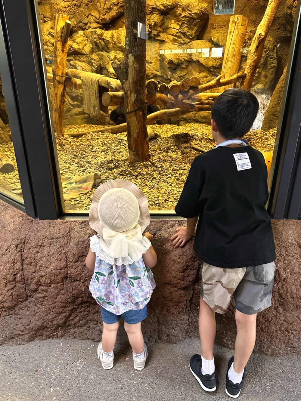 ブラック系のTシャツ/カットソー、グリーン系のその他パンツ、ブラック系のスニーカーを着用したキッズの秋コーディネートの4枚目の写真