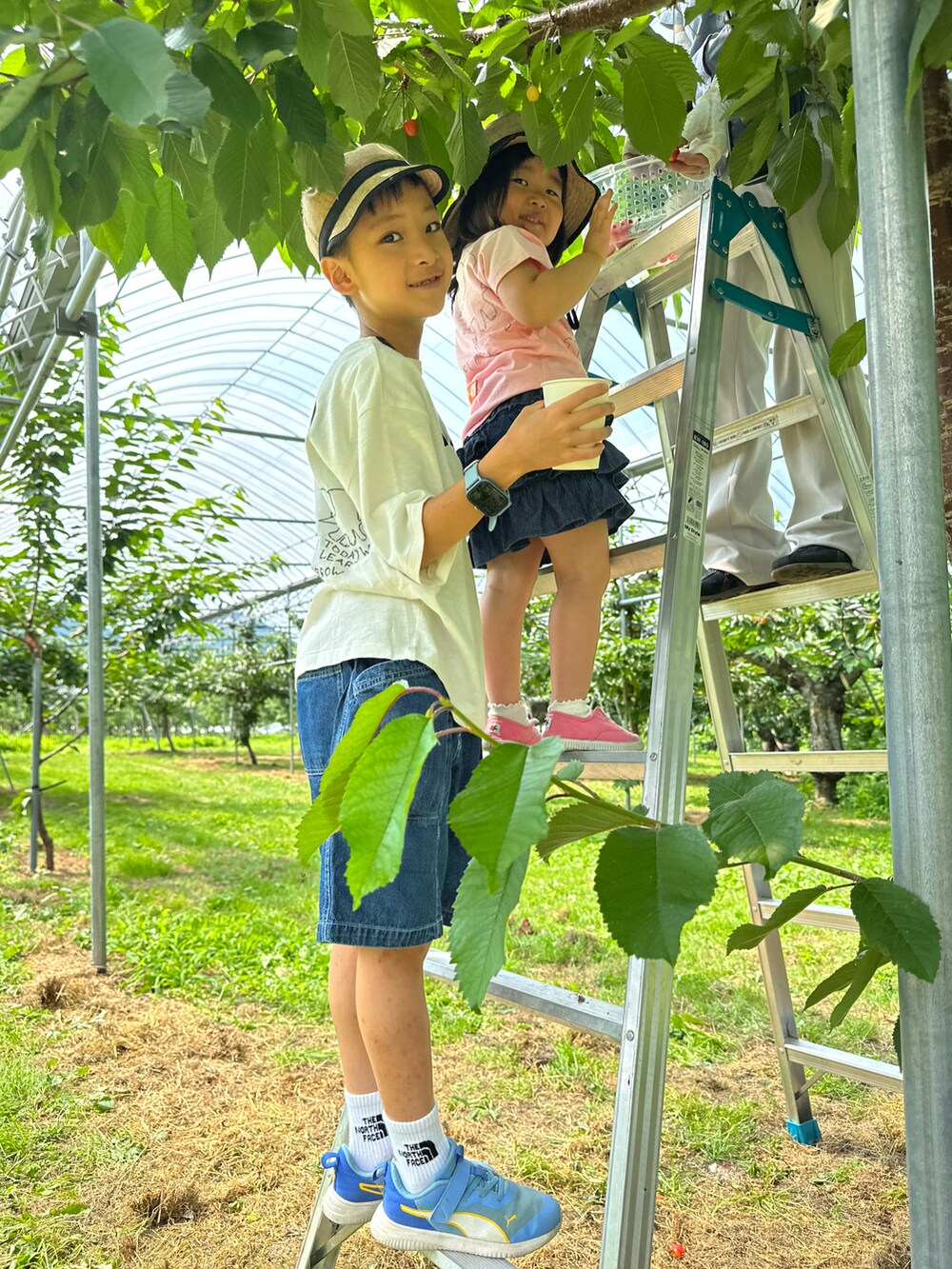 ホワイト系のTシャツ/カットソー、ブルー系のデニムパンツ、ブルー系のスニーカーを着用したキッズの秋コーディネートの5枚目の写真