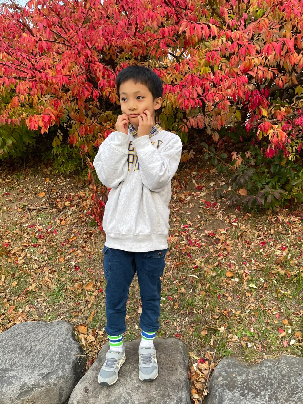 グレー系のスウェット、ブルー系のシャツ/ブラウス、ブルー系のカーゴパンツを着用したキッズの秋コーディネートの3枚目の写真