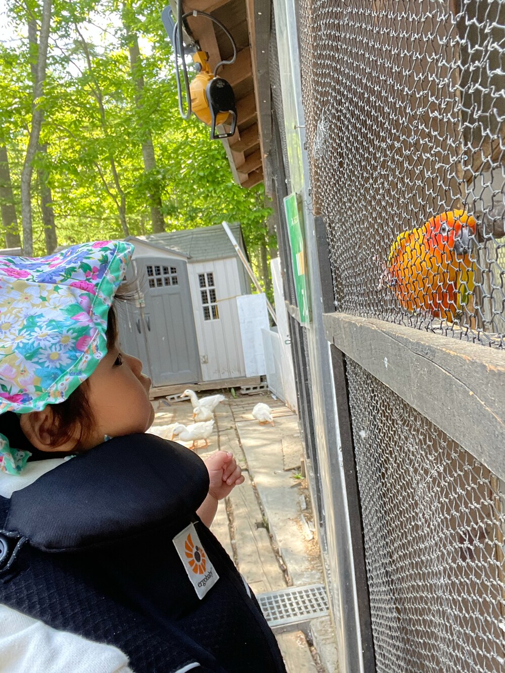 ホワイト系のTシャツ/カットソー、ブルー系のデニムパンツ、シルバー系のスニーカーを着用したキッズの夏コーディネートの5枚目の写真