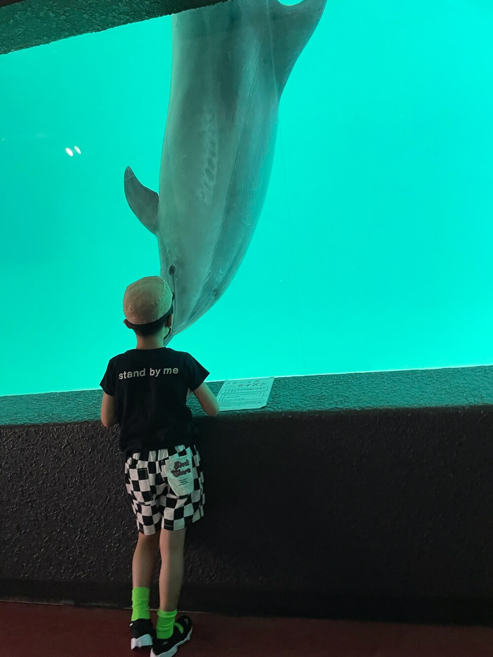 ブラック系のTシャツ/カットソー、その他のその他パンツ、ブラック系のスニーカーを着用したキッズの夏コーディネートの3枚目の写真