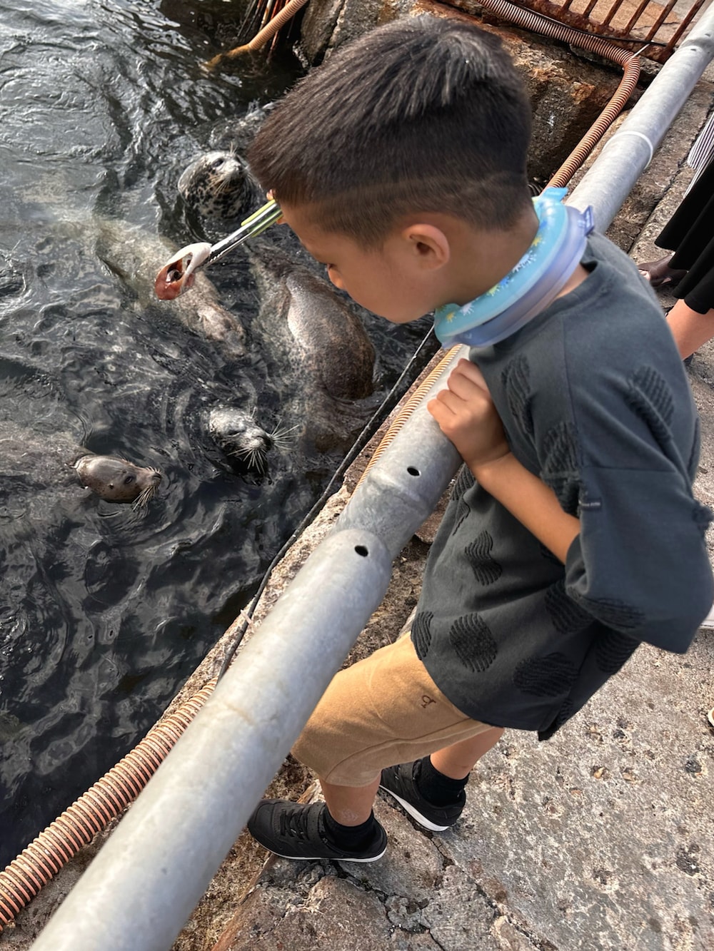 グレー系のTシャツ/カットソー、ベージュ系のその他パンツ、ブラック系のスニーカーを着用したキッズの秋コーディネートの2枚目の写真