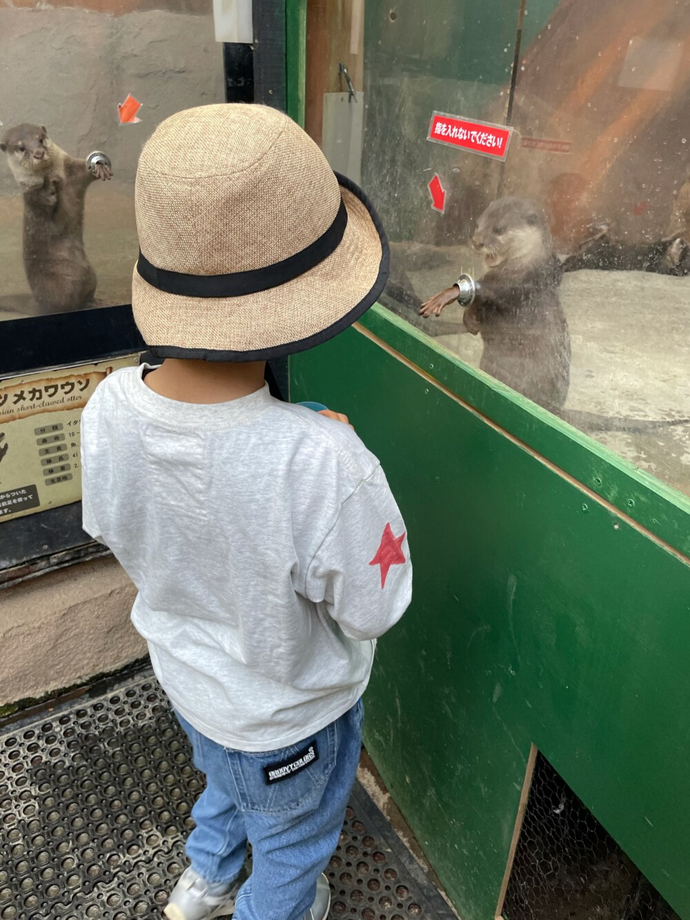 ホワイト系のTシャツ/カットソー、ブルー系のデニムパンツ、シルバー系のスニーカーを着用したキッズの夏コーディネートの3枚目の写真