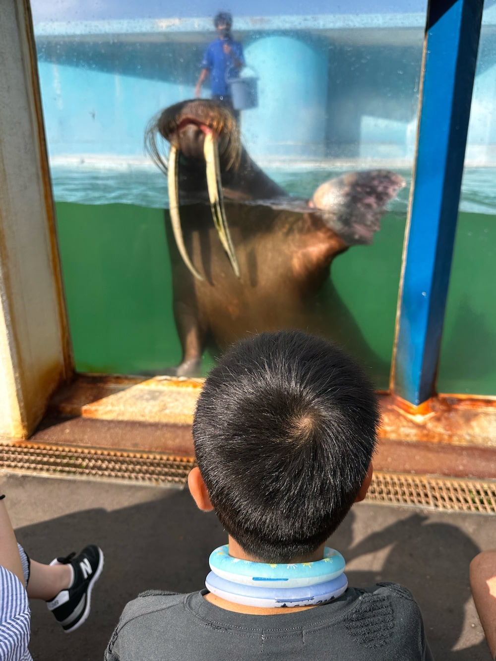 グレー系のTシャツ/カットソー、ベージュ系のその他パンツ、ブラック系のスニーカーを着用したキッズの秋コーディネートの4枚目の写真