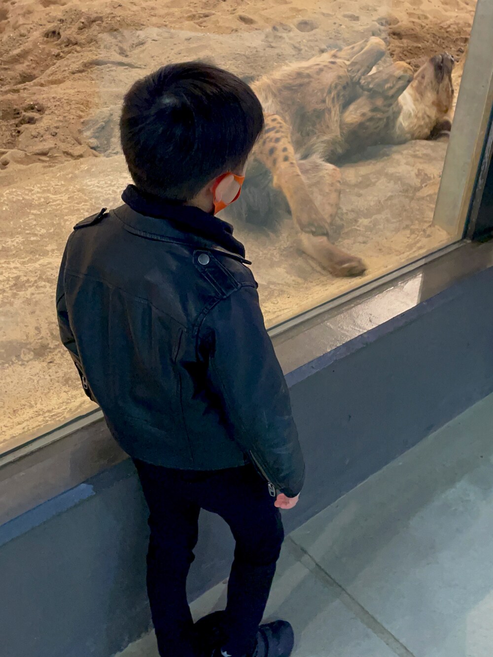 ブラック系のライダースジャケット、ブラック系のスウェット、ブラック系のその他パンツを着用したキッズの冬コーディネートの5枚目の写真