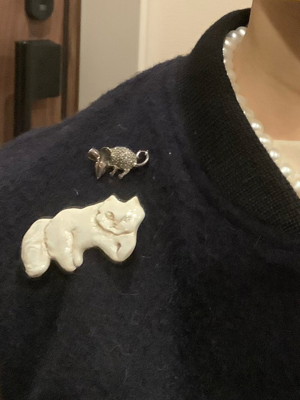 ブルー系のスタジャン、その他のスカート、ホワイト系のブローチ/コサージュを着用したレディースの秋コーディネートの2枚目の写真