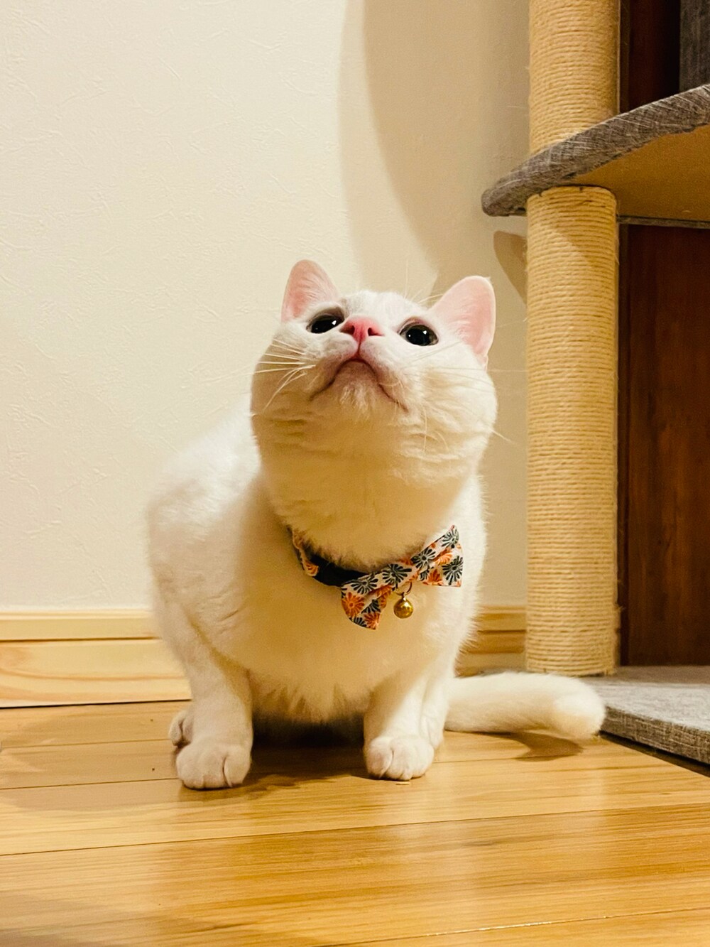 ベージュ系のシャツ/ブラウス、ブラック系のベスト、ブラウン系のノーカラーコートを着用したレディースの秋コーディネートの2枚目の写真