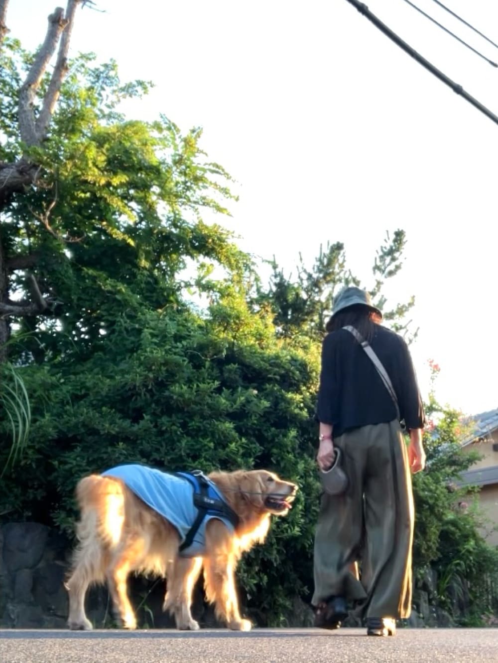 ブラック系のTシャツ/カットソー、グリーン系のその他パンツ、ブラック系のサンダルを着用したレディースの夏コーディネートの2枚目の写真