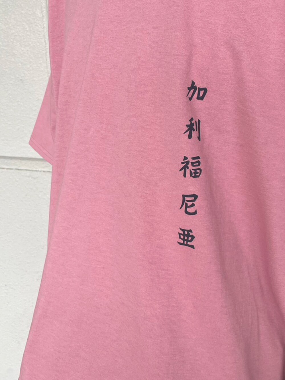 「ゴードンミラー、キャルオーライン、GORDON MILLER、CALOLINE、JACK&MARIE、ららぽーと名古屋、Tシャツ」｜「GORDON MILLERのアイテム（Tシャツ/カットソー、ピンク系）」を使った、takaiさん（メンズ・175cm）の春コーディネートの2枚目の写真