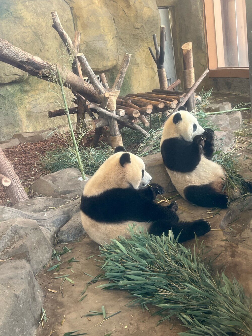 ホワイト系のスカート、グリーン系のスニーカーを着用したレディースの春コーディネートの2枚目の写真