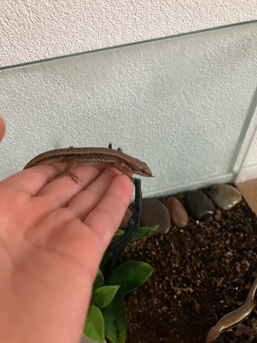 グレー系のスウェット、ブルー系のデニムパンツ、ブラック系のスニーカーを着用したメンズの春コーディネートの3枚目の写真