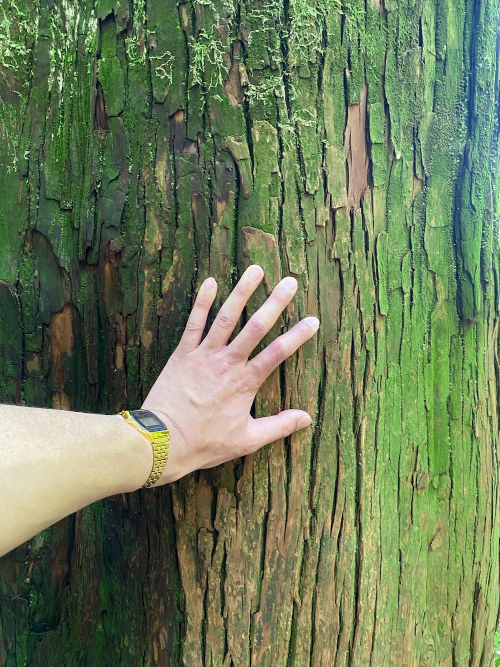 ブラック系のスニーカー、ブラック系のTシャツ/カットソー、レッド系のバンダナ/スカーフを着用したメンズの夏コーディネートの4枚目の写真
