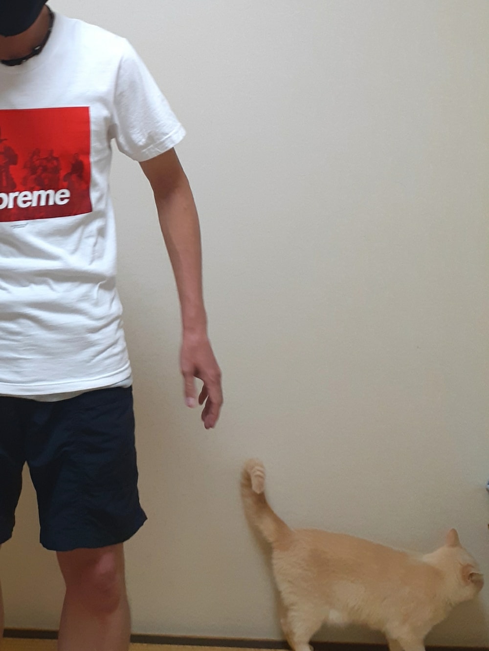 「Supreme、Seven Samurai、七人の侍、UNDER COVER」｜「Supreme のアイテム（Tシャツ/カットソー、ホワイト系）」を使った、Ta-ka-777さん（メンズ・173cm）の夏コーディネートの3枚目の写真