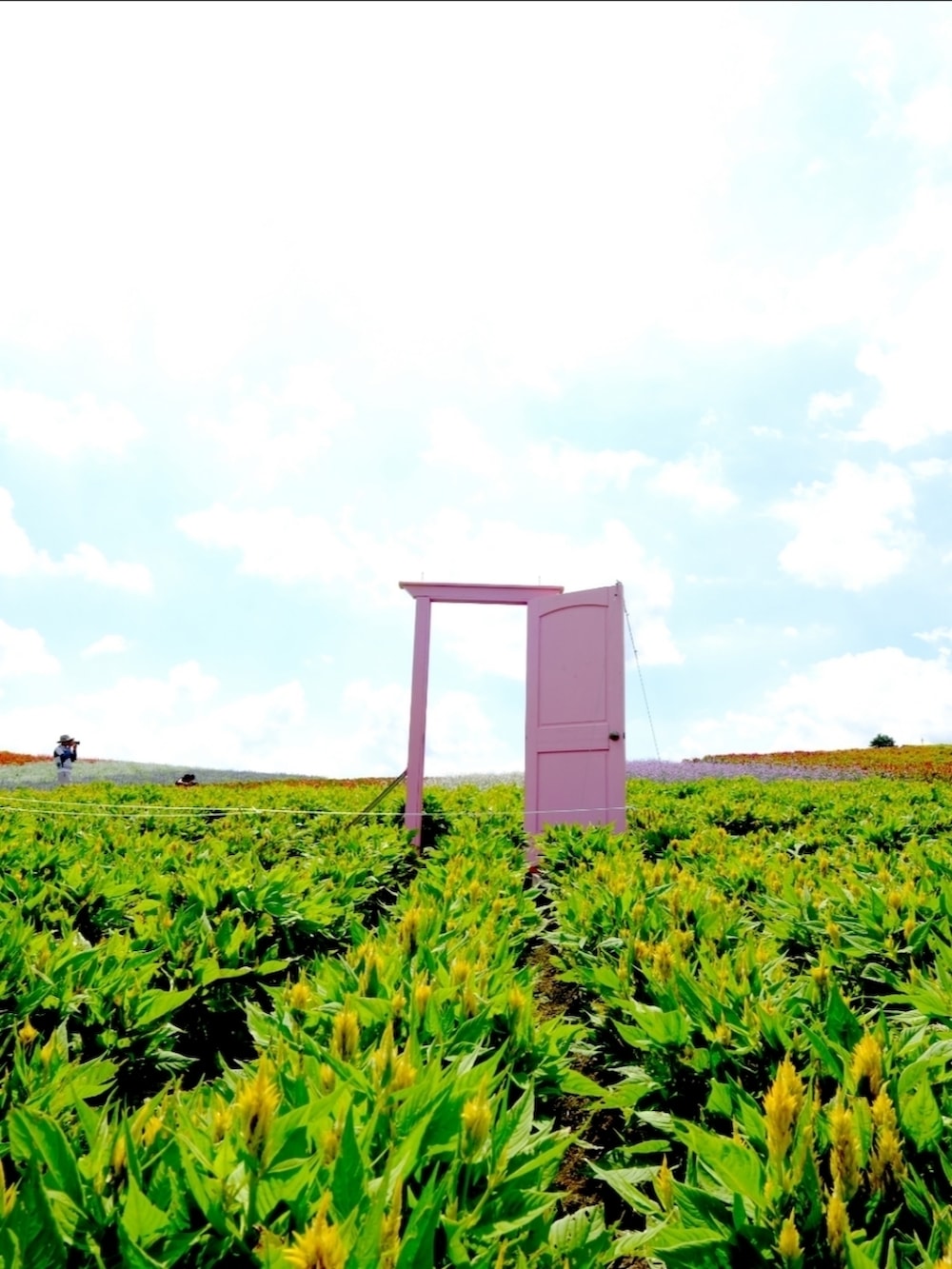 ブルー系のシャツ/ブラウス、ピンク系のその他パンツ、ブラック系のサンダルを着用したメンズの夏コーディネートの2枚目の写真