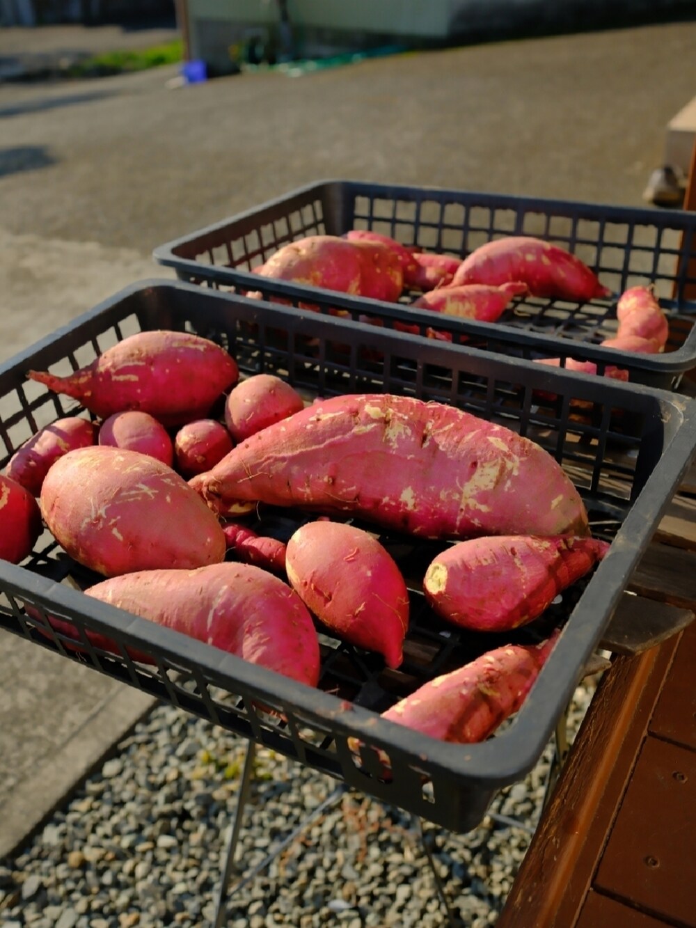 ピンク系のカーゴパンツ、ベージュ系のブーツ、ホワイト系のニット/セーターを着用したメンズの冬コーディネートの3枚目の写真