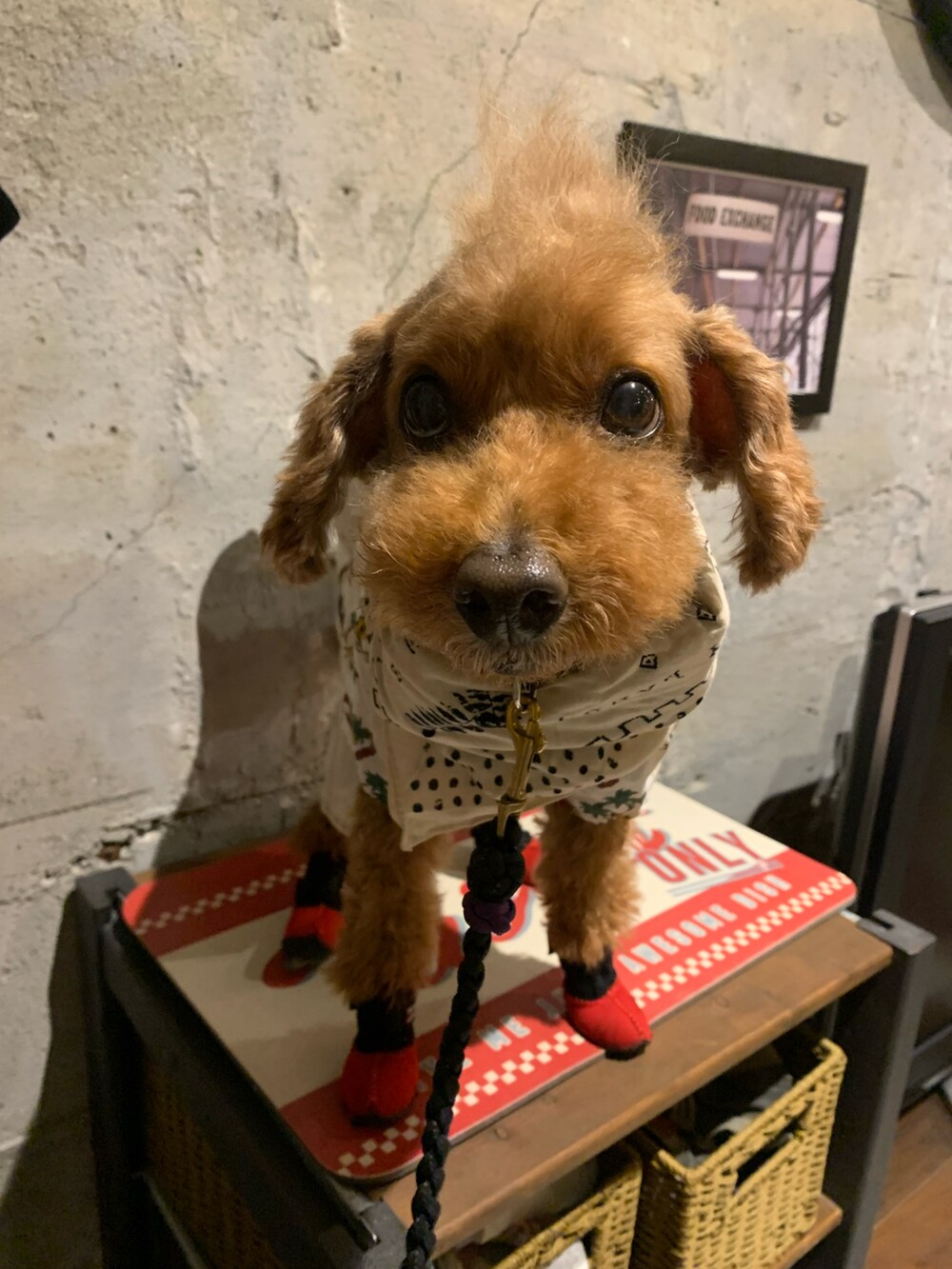 ホワイト系のシャツ/ブラウス、ホワイト系のその他パンツを着用したメンズの夏コーディネートの2枚目の写真