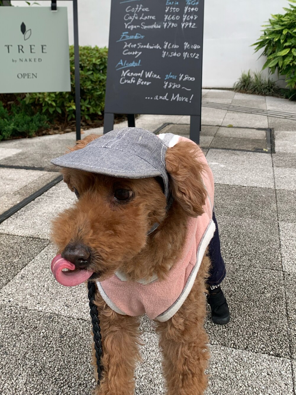 ピンク系のパーカー、ブルー系のキャップ、ブルー系の食器を着用したメンズの夏コーディネートの3枚目の写真
