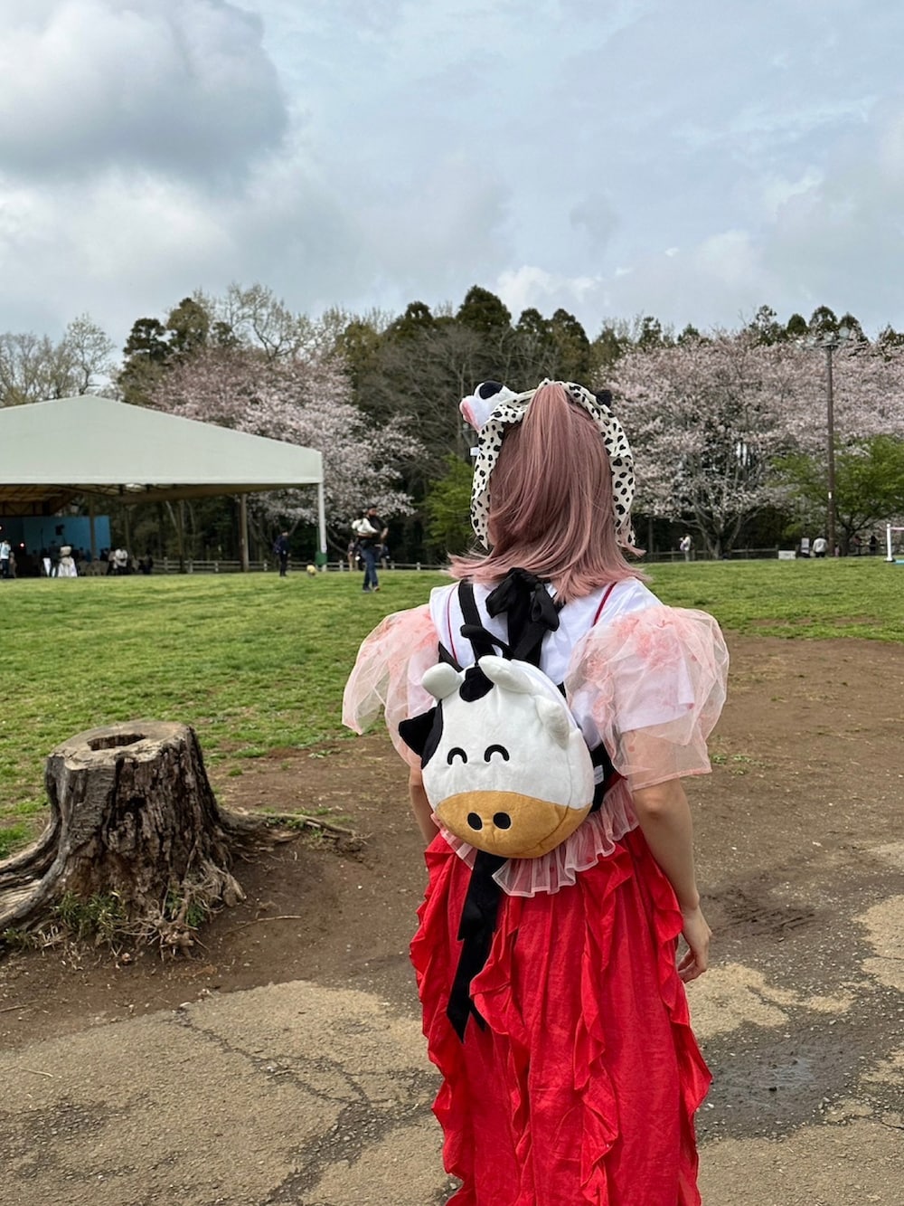 「苺コーデ、いちごといえばわたし、ウィッグアレンジ、ピンクヘアー、高橋愛、ゴキゲンズ、ごきげんコーデ、シースルー、シモーネロシャ、simonerocha、牛柄、牛、赤、holiday」｜「HOLIDAYのCOTTON LINEN RUFFLE RUFFLE DRESS コットンリネンラッフルラッフルドレス（ワンピース、レッド系）」を使った、高橋愛さん（レディース・154cm）の春コーディネートの2枚目の写真