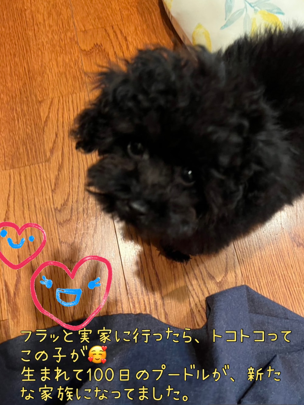 「春めき満開コーデ、デニム、スニーカー、春色、低身長、アラフィフ、メガネ女子、おしゃれさんと繋がりたい」|「Ungridのスリーブギャザードッキングスウェット(スウェット、ホワイト系)」を使った、akocoa♩¨̮·͜· ︎︎ ︎︎さん(レディース・153cm)の春コーディネートの3枚目の写真