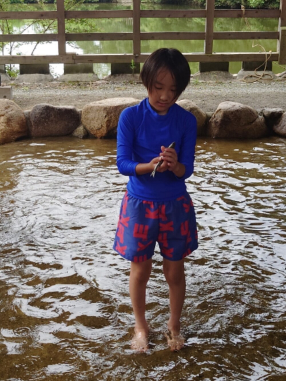 ブルー系の水着、ブルー系のラッシュガードを着用したキッズの夏コーディネートの2枚目の写真