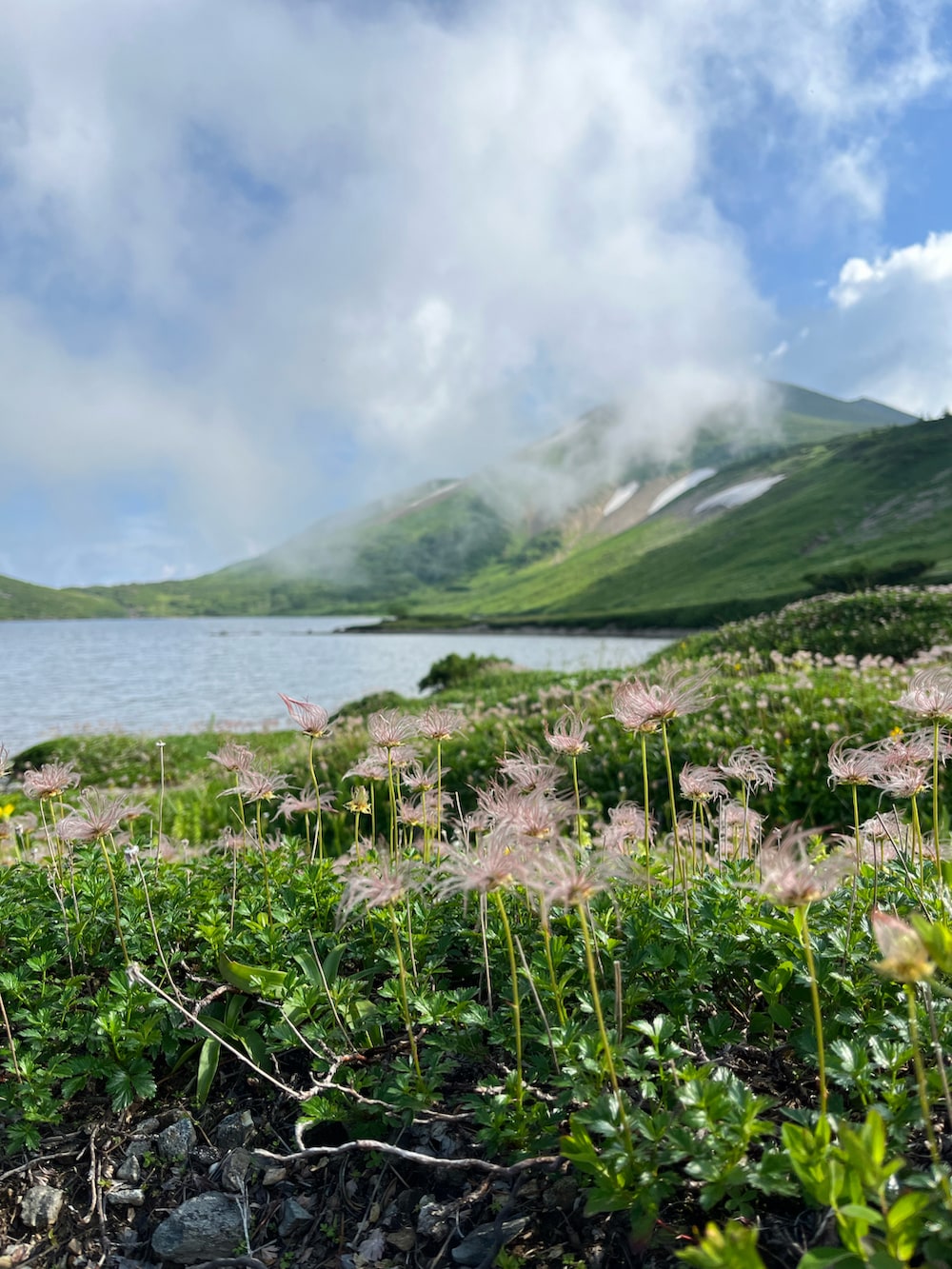 グレー系のTシャツ/カットソー、ブラウン系のシャツ/ブラウス、ブラウン系のその他パンツを着用したメンズの夏コーディネートの2枚目の写真