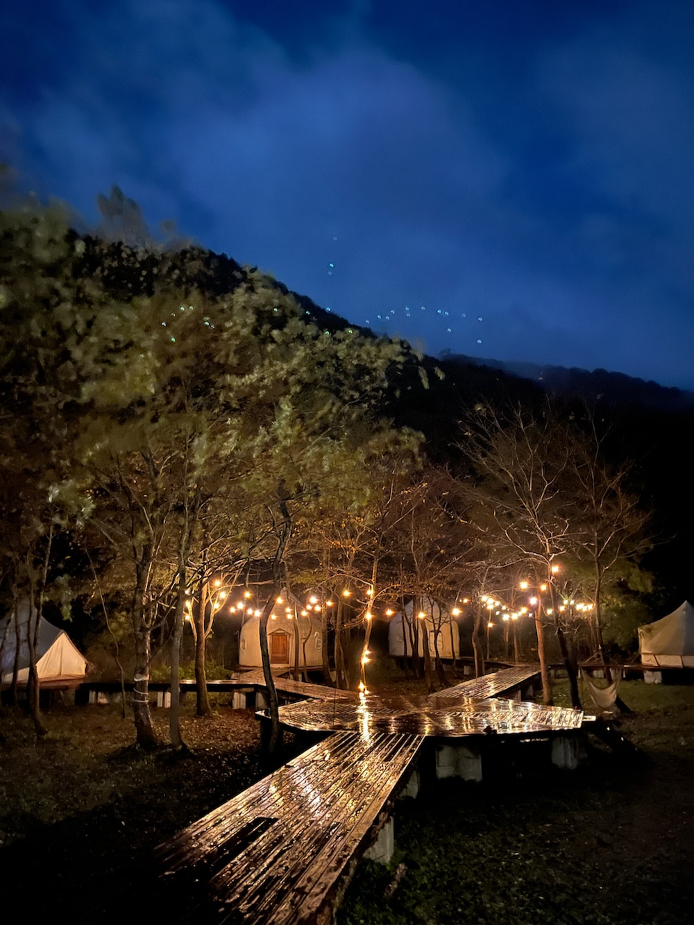 ベージュ系のTシャツ/カットソー、ブラック系のスニーカー、ベージュ系のキャップを着用したメンズの秋コーディネートの3枚目の写真