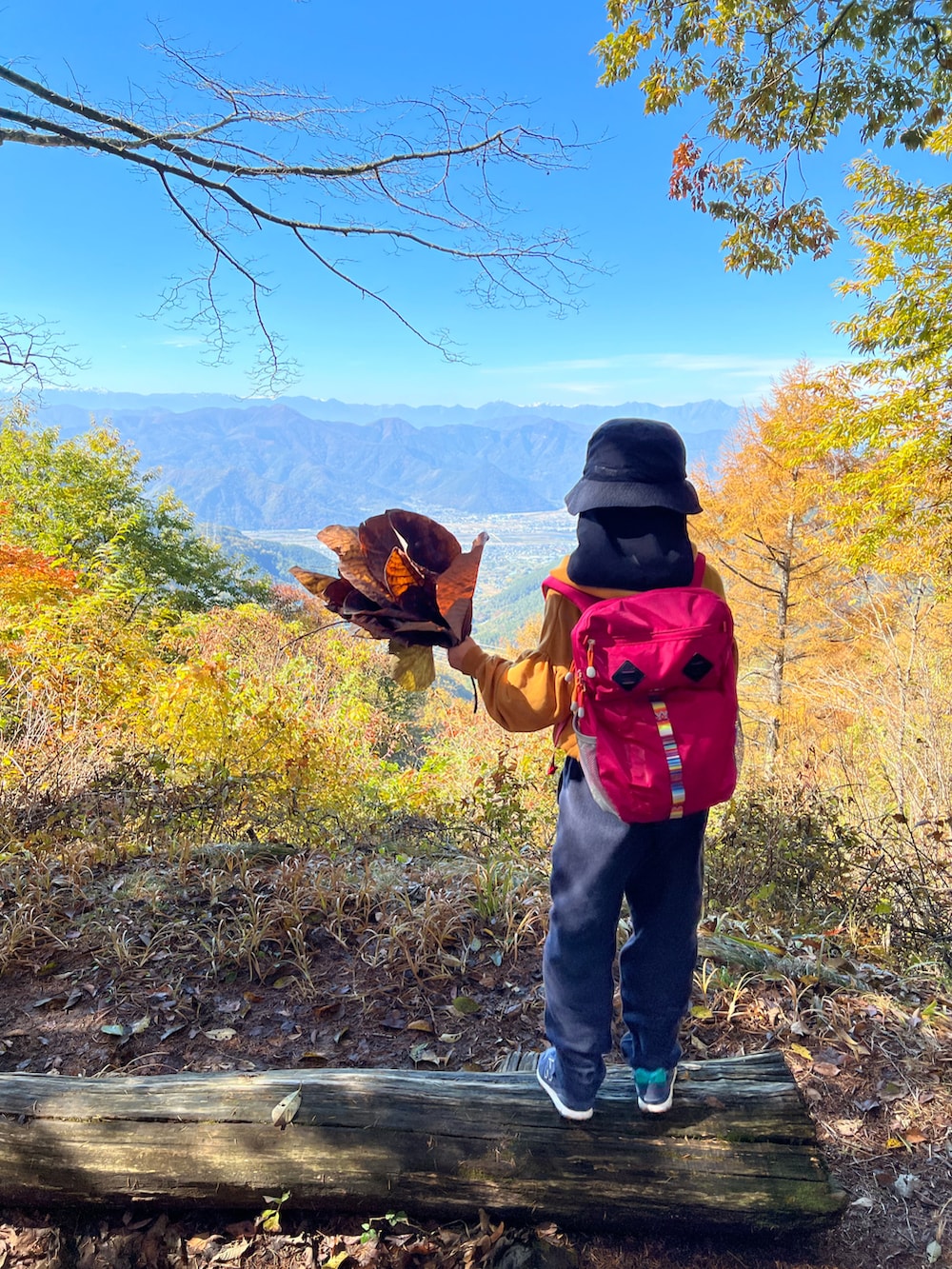 「キッズコーデ、女の子、登山、紅葉、カメラ、タートルネック、パーカー、リュック、バックパック、パンツスタイル、帽子、スニーカー、秋コーデ、カジュアル、レイヤードスタイル」｜「LOWRYS FARMのウラケギャザーパーカー　216009（パーカー、イエロー系）」を使った、Yu-&Ri-(多忙のため不定期投稿)さん（キッズ・127cm）の秋コーディネートの2枚目の写真