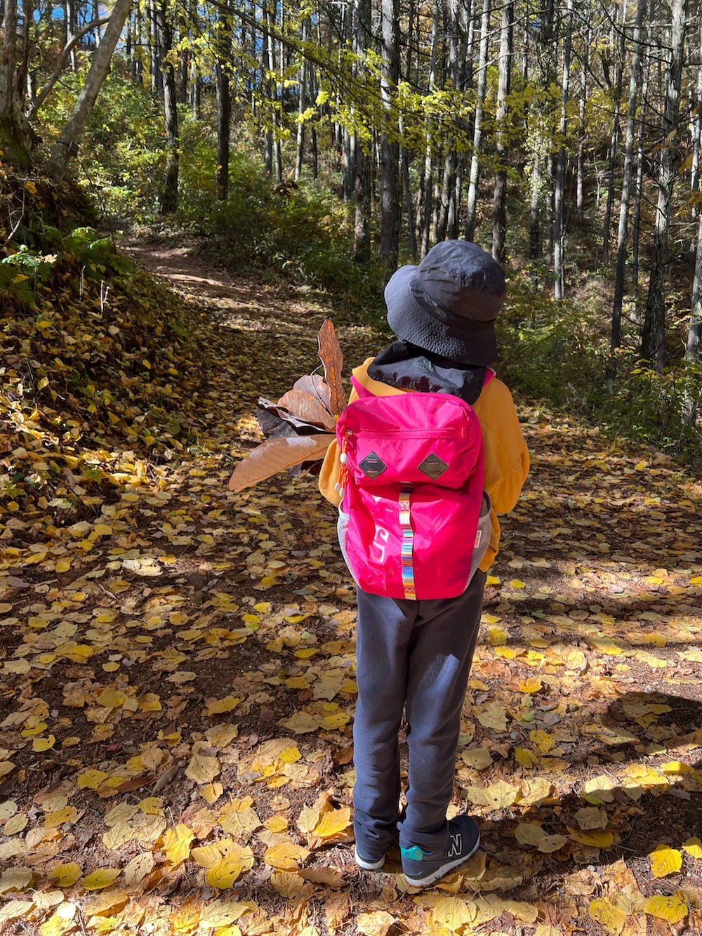 「キッズコーデ、女の子、登山、紅葉、カメラ、タートルネック、パーカー、リュック、バックパック、パンツスタイル、帽子、スニーカー、秋コーデ、カジュアル、レイヤードスタイル」｜「LOWRYS FARMのウラケギャザーパーカー　216009（パーカー、イエロー系）」を使った、Yu-&Ri-(多忙のため不定期投稿)さん（キッズ・127cm）の秋コーディネートの5枚目の写真