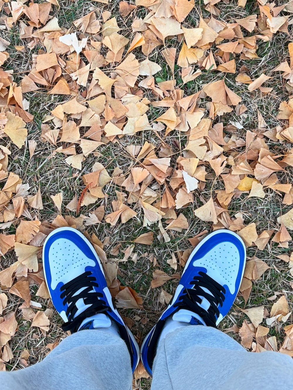 ブルー系のスタジャン、グレー系のスウェットパンツ、ブルー系のスニーカーを着用したメンズの冬コーディネートの3枚目の写真