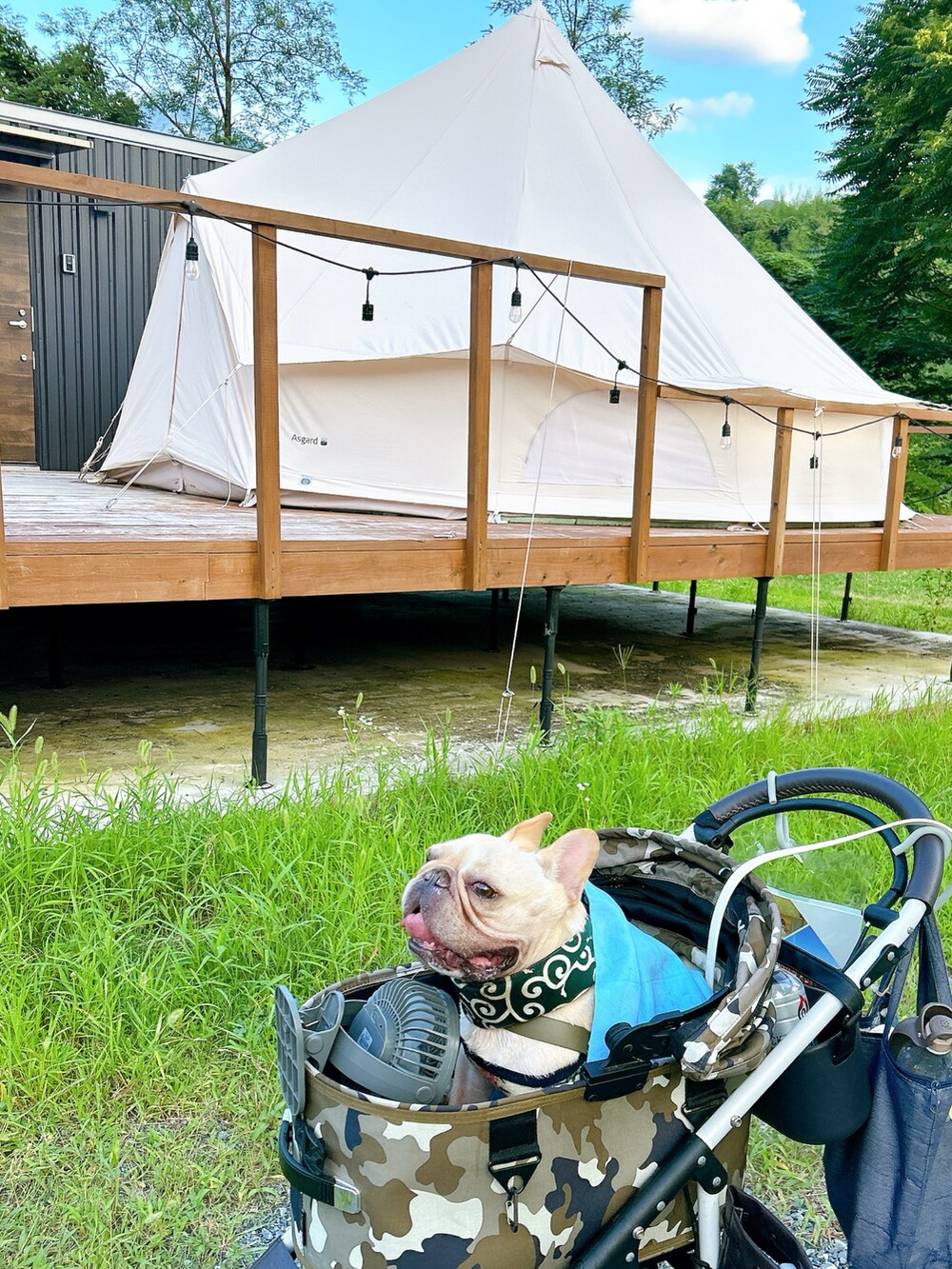 ピンク系のTシャツ/カットソー、ブラック系のスニーカー、ブルー系のデニムパンツを着用したレディースの夏コーディネートの2枚目の写真