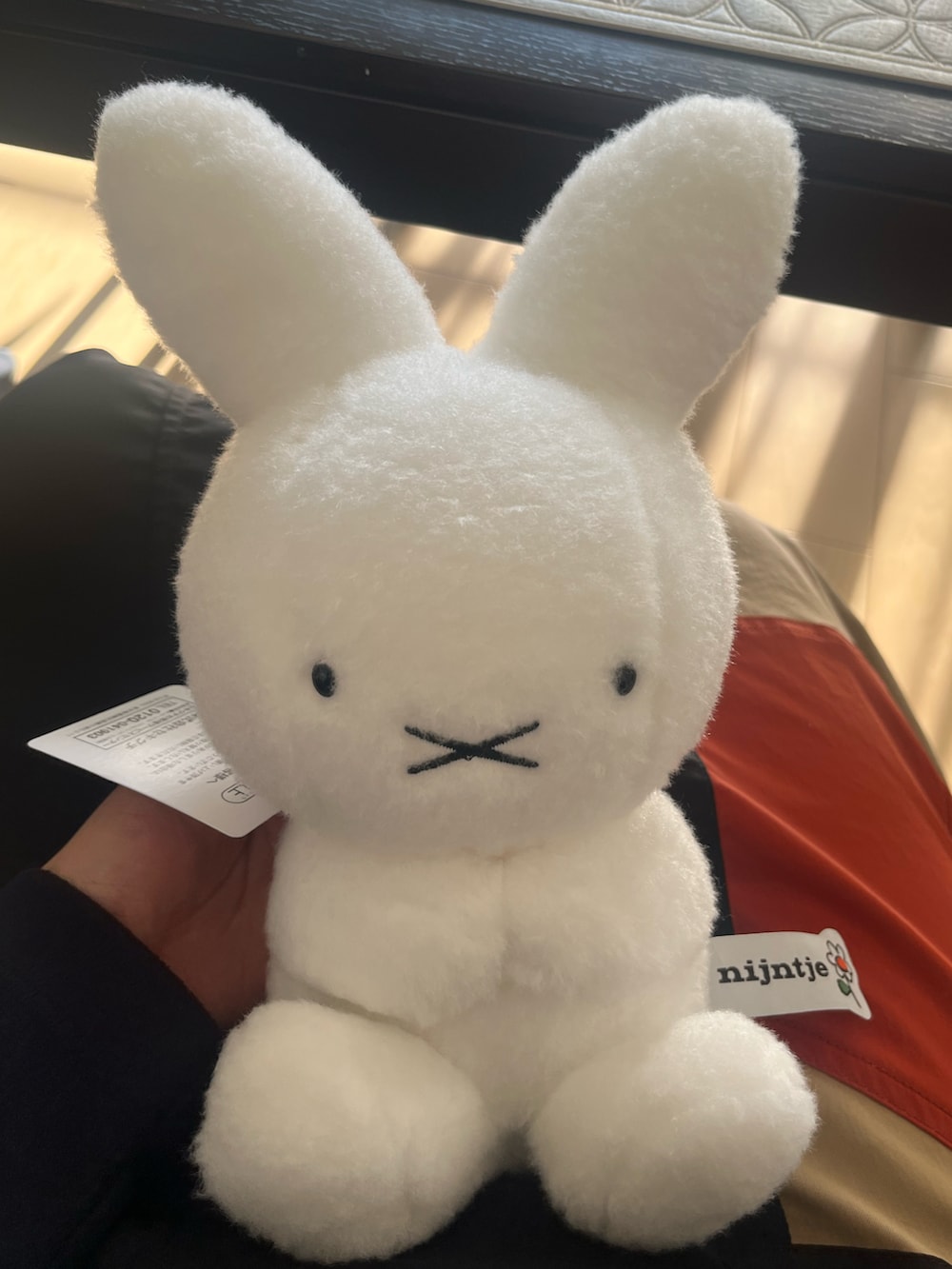 レッド系のワンピース、ベージュ系のジャケット/アウターを着用したレディースの冬コーディネートの3枚目の写真