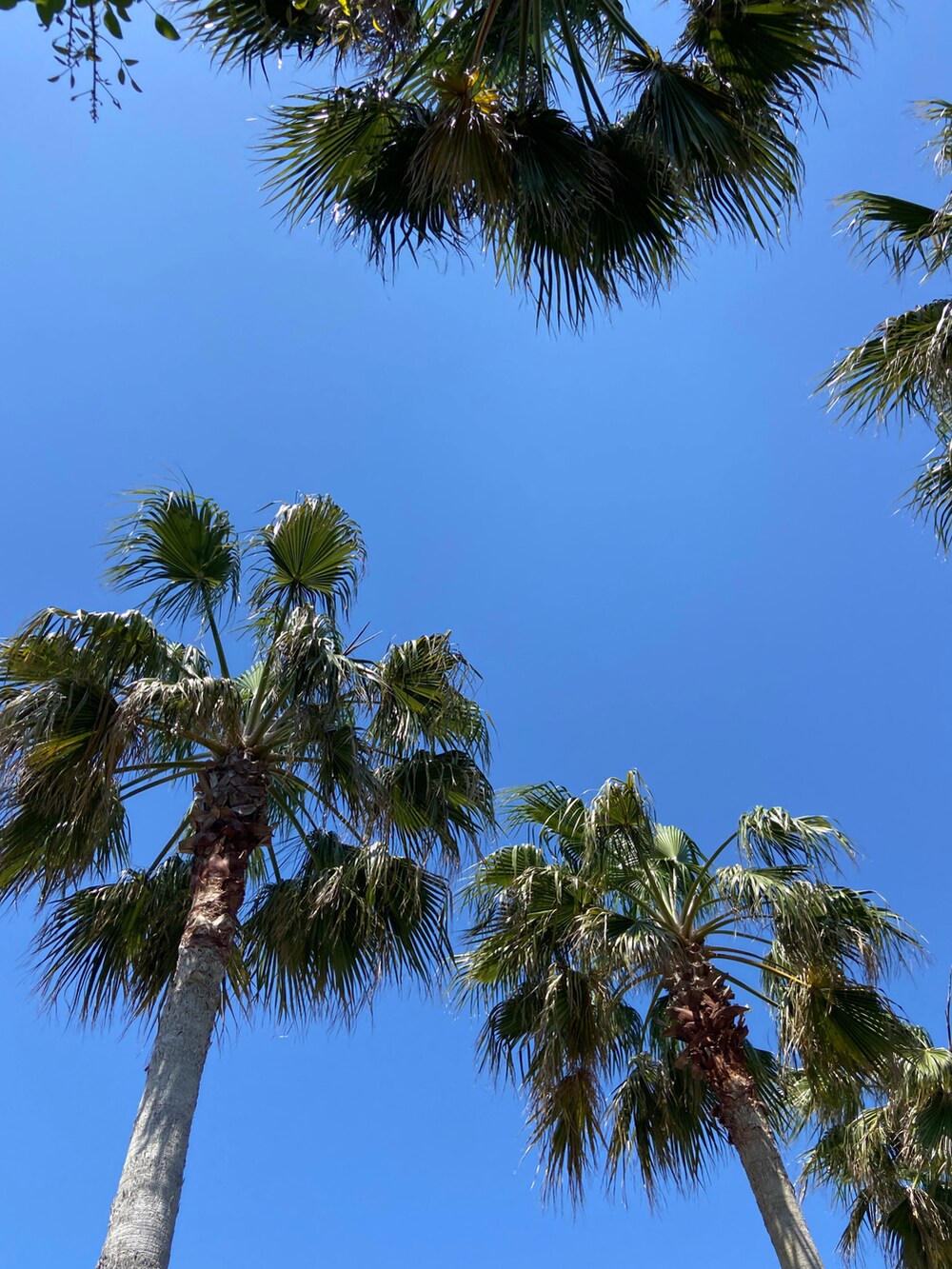 その他のサンダル、ブルー系のスカート、その他のバックパック/リュックを着用したキッズの春コーディネートの3枚目の写真