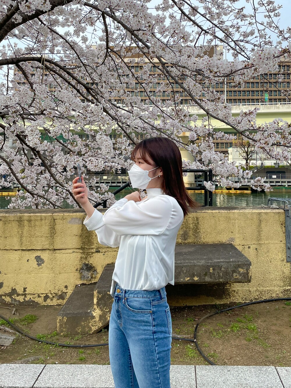 「girl、spring、春コーデ、桜、花見コーデ、お花見コーデ、韓国ファッション、韓国ブランド、通販ブランド、bymunir、ファッションの力を信じよう、おしゃれさんと繋がりたい」｜「by muni:rのエレガントなスカーフブラウス（シャツ/ブラウス、ホワイト系）」を使った、by muni:r  staffさん（レディース・158cm）の春コーディネートの2枚目の写真