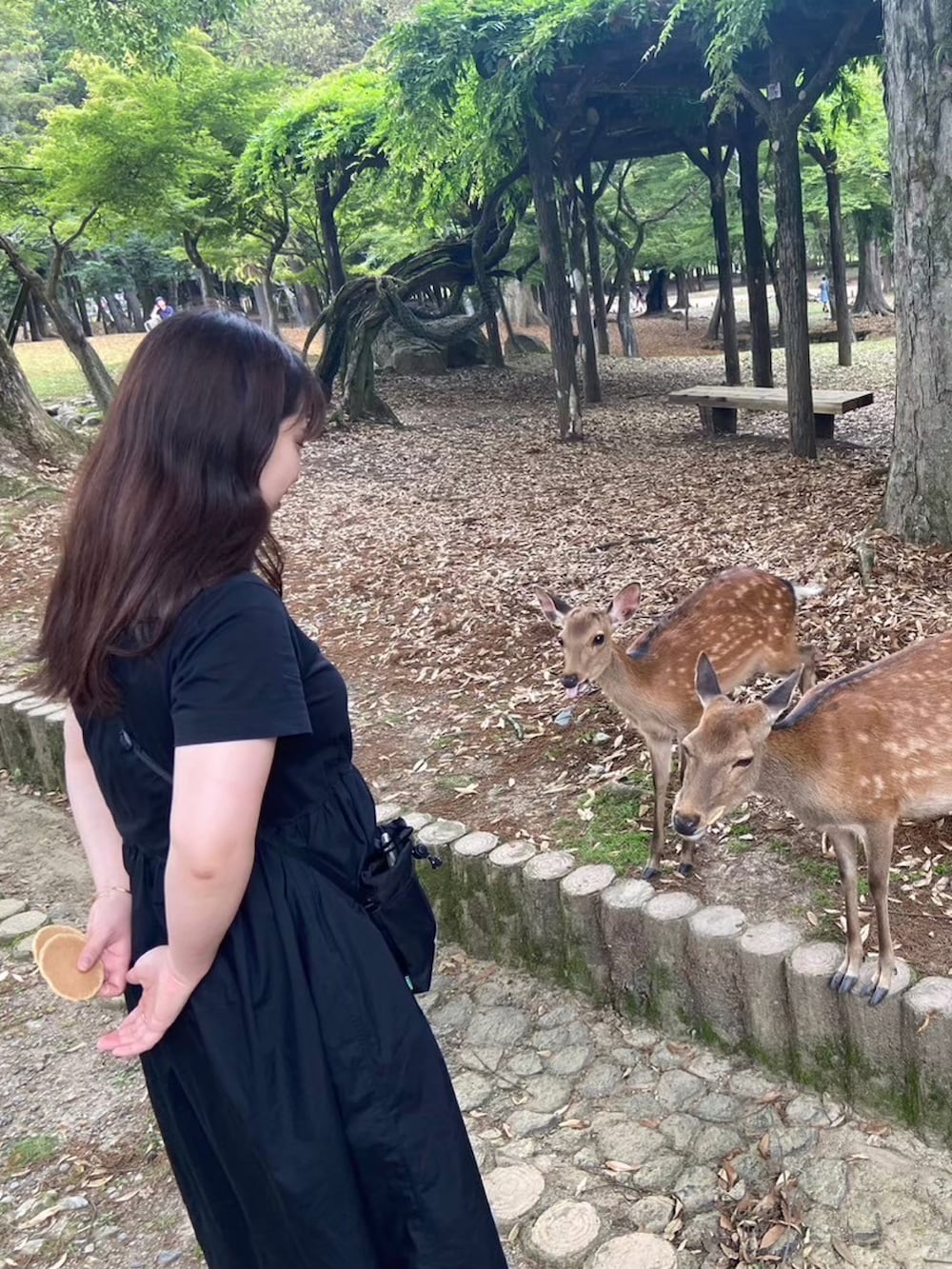 ブラック系のショルダーバッグ、ブラック系のワンピース/ドレス、ブラック系のサンダルを着用したレディースの夏コーディネートの3枚目の写真