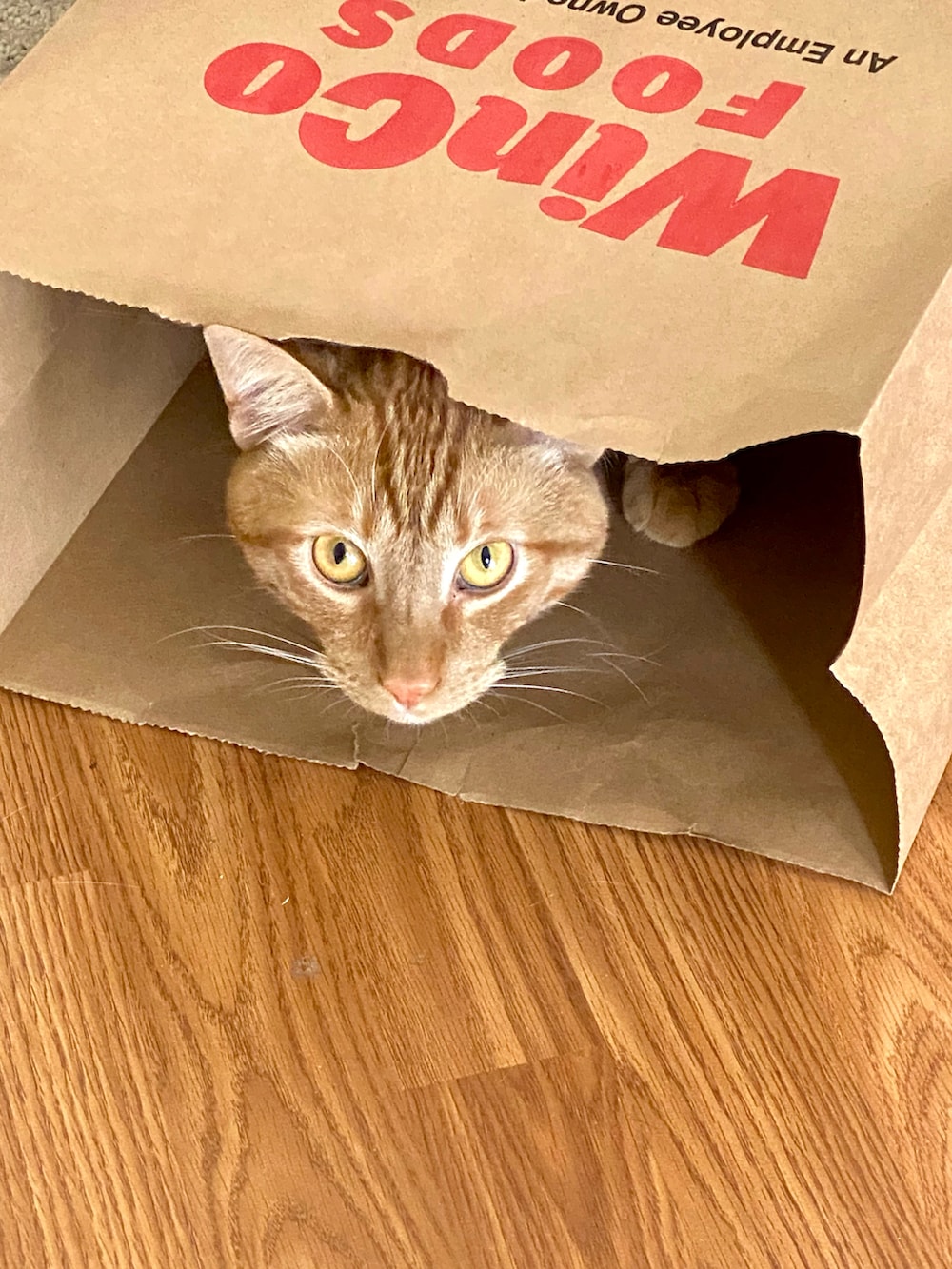 ブルー系のデニムパンツ、ブラウン系のサンダル、ブラウン系のシャツ/ブラウスを着用したメンズの春コーディネートの3枚目の写真