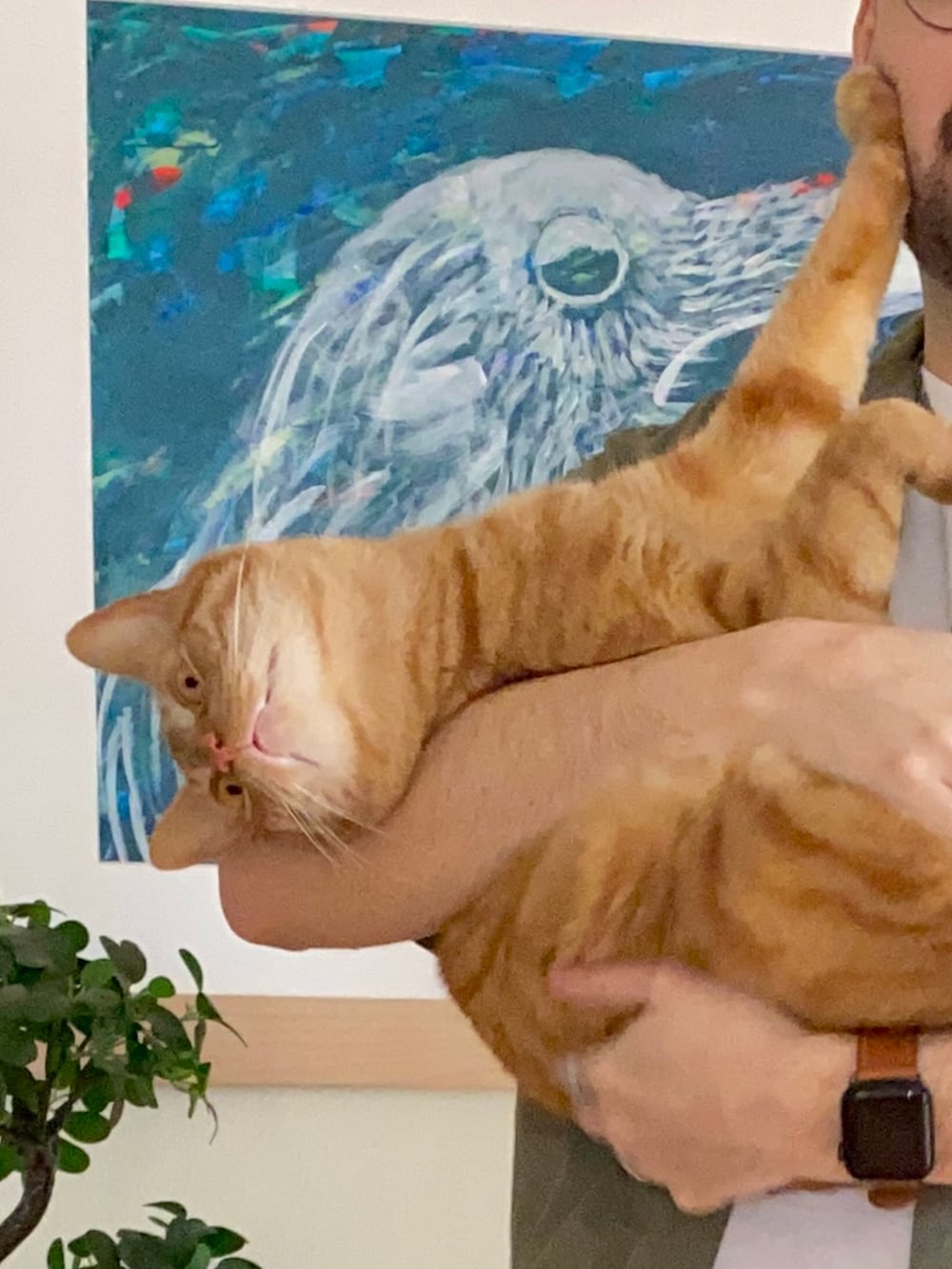 ブルー系のデニムパンツ、ブラック系のその他シューズ、グリーン系のシャツ/ブラウスを着用したメンズの冬コーディネートの2枚目の写真