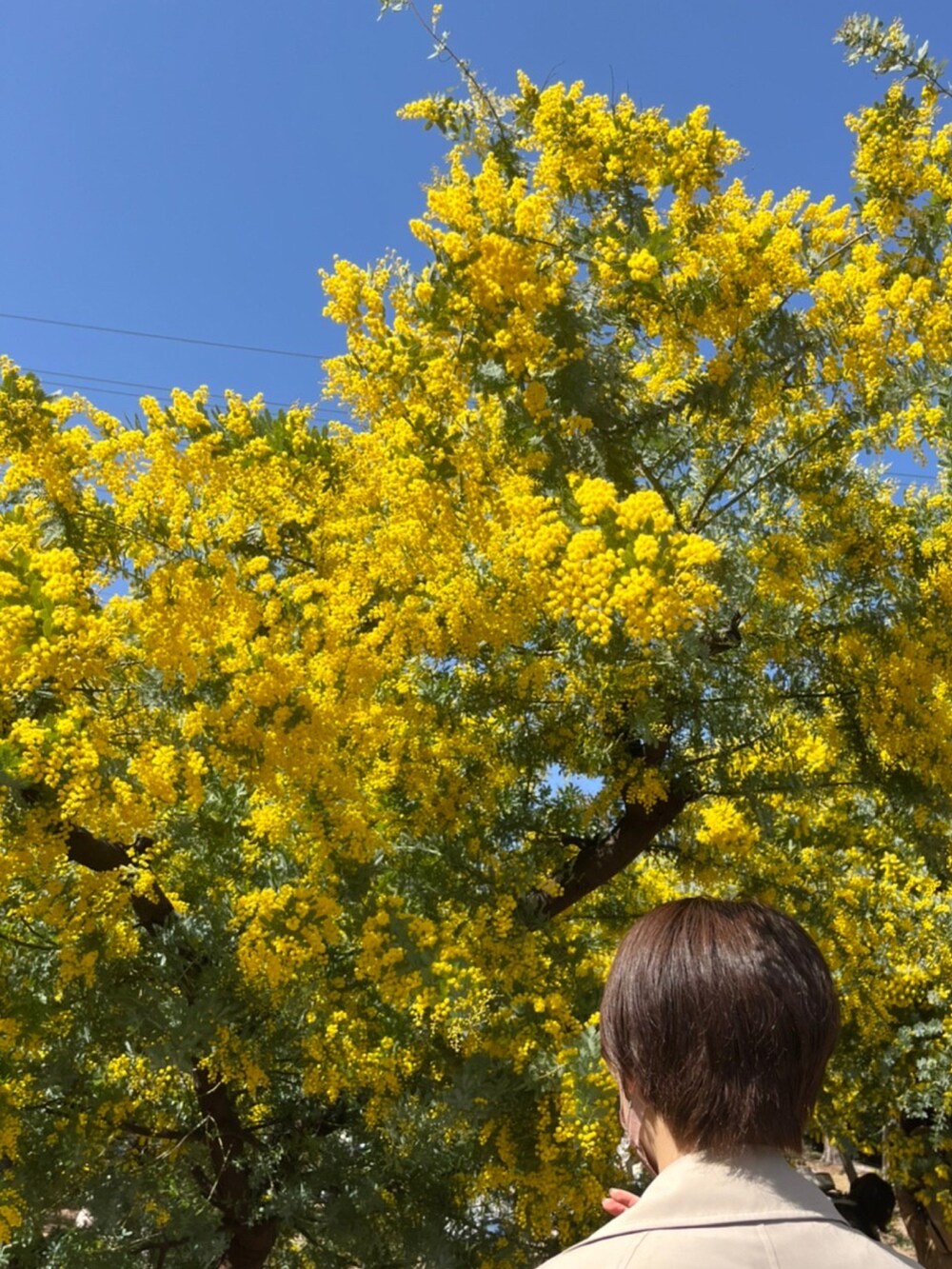 ブラック系のバッグ、ベージュ系のトレンチコート、ピンク系のワンピースを着用したレディースの春コーディネートの3枚目の写真