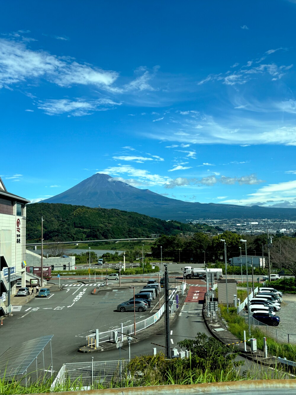 グリーン系のチノパンツ、ブルー系のトートバッグ、グリーン系のスニーカーを着用したメンズの秋コーディネートの4枚目の写真