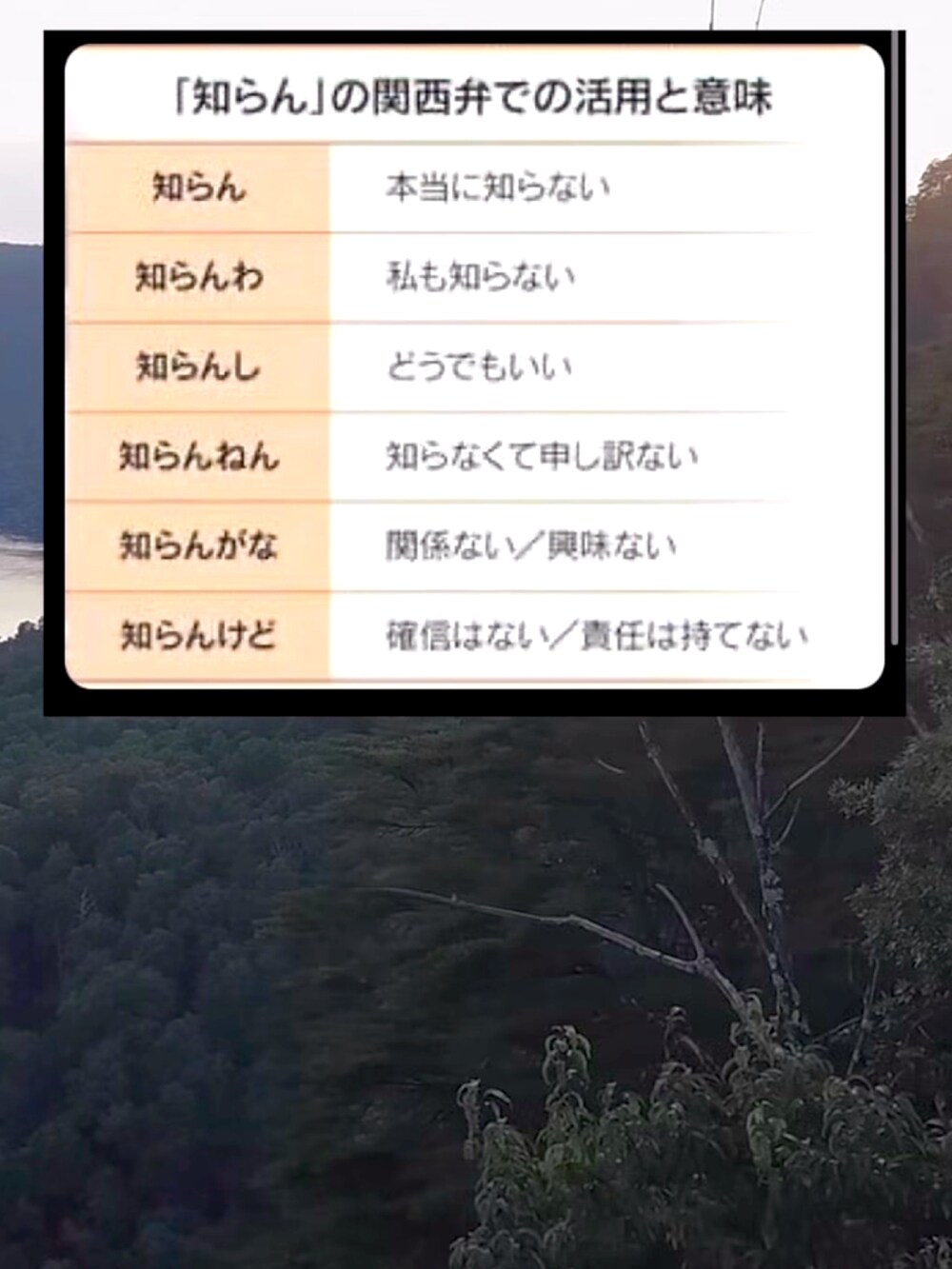 ブルー系のダウンベスト、レッド系のシャツ/ブラウス、ベージュ系のその他パンツを着用したメンズの冬コーディネートの2枚目の写真