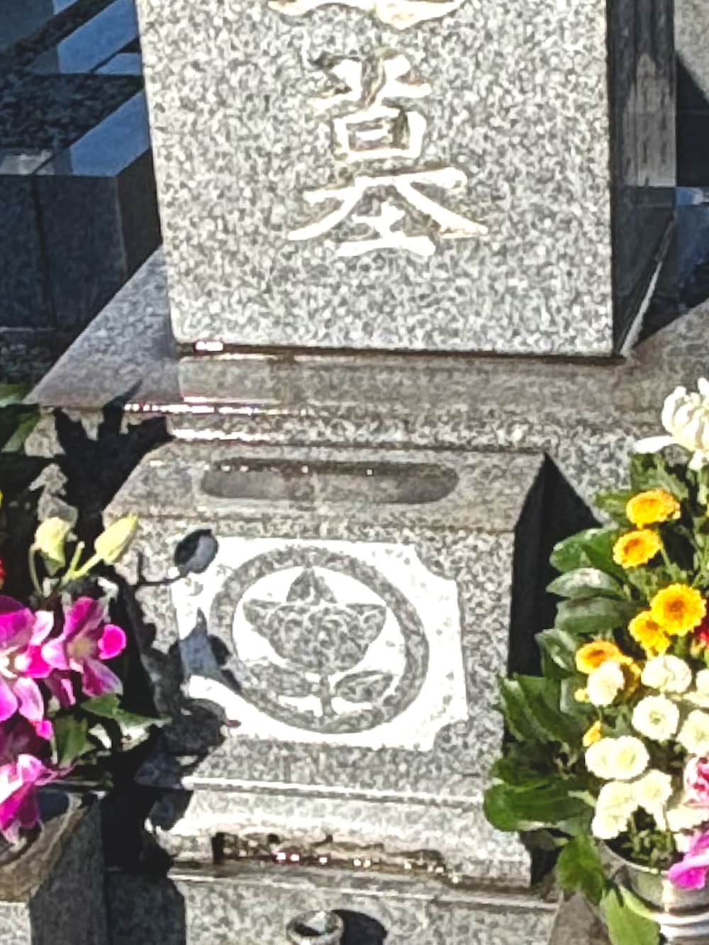 レッド系のチノパンツ、グリーン系のスニーカー、ブルー系のニット/セーターを着用したメンズの秋コーディネートの2枚目の写真