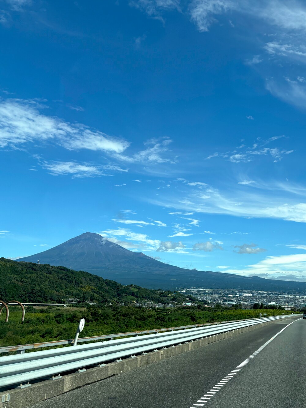 グリーン系のチノパンツ、ブルー系のトートバッグ、グリーン系のスニーカーを着用したメンズの秋コーディネートの3枚目の写真
