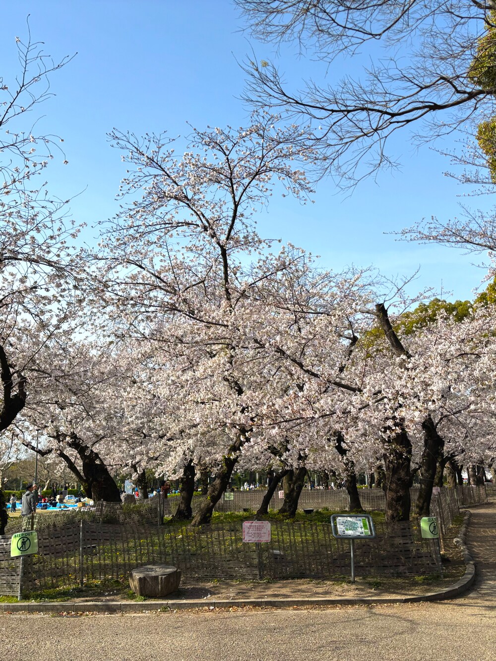 ブルー系のその他パンツ、グリーン系のスニーカー、ブルー系のジャージを着用したメンズの春コーディネートの4枚目の写真