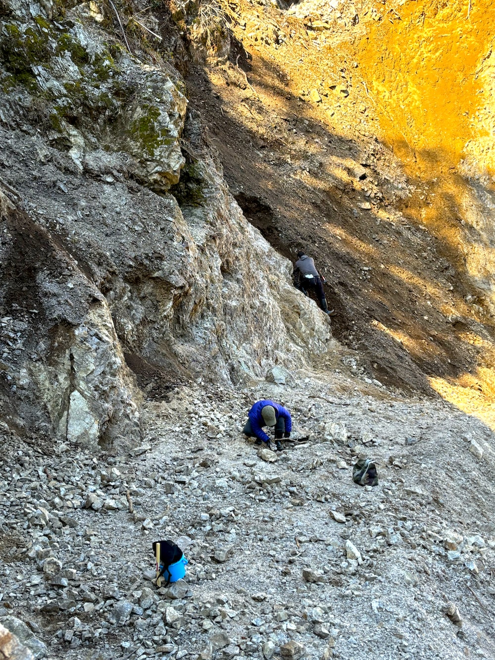 ブルー系のデニムパンツ、グリーン系のスニーカー、グリーン系のMA-1を着用したメンズの春コーディネートの2枚目の写真